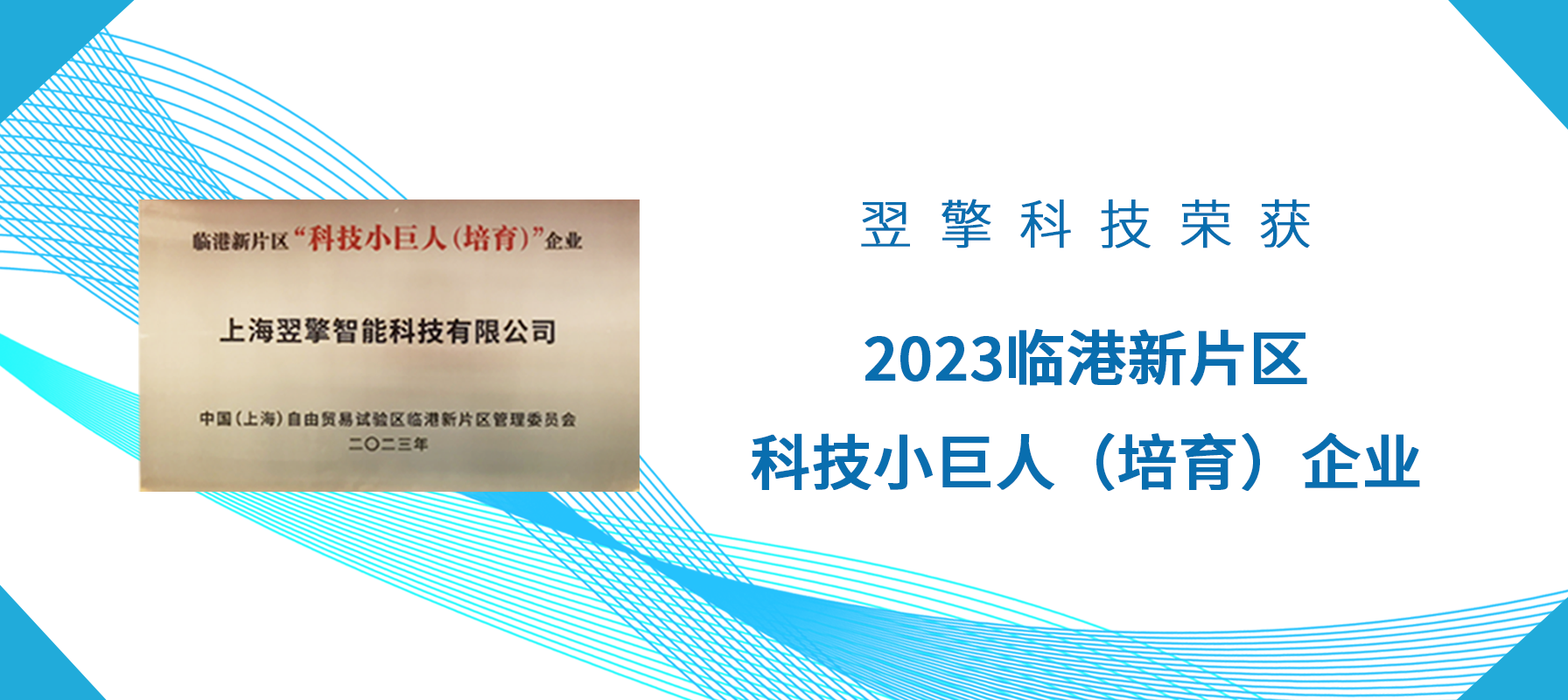 2023临港小巨人封面.png